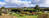  B005263 blended fused by  B005261